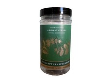 Bath  Body Works Eucalyptus Spearmint Shower Steamers 4.8 oz  6 Tablets  NEW