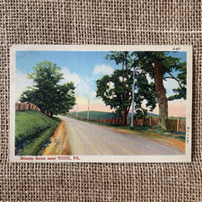 York Pennsylvania PA Beauty Scene Landscape Trees Road Posted 1942 Postcard