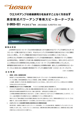 Ultra Rare UESUGI Japan 6m Speaker Cables | Vintage Golden Era Audiophile Hi End