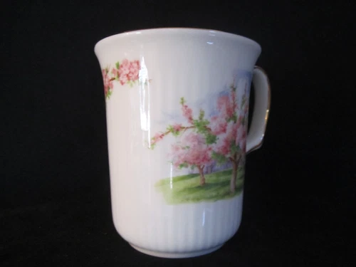 Royal Albert Blossom Time Bristol Coffee Mug Bone China Made in England