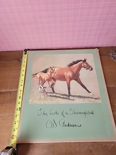 The Look of a Thoroughbred 8 Vntg Horse Prints C.W. Anderson Portfolio Man O War - Picture 23 of 24