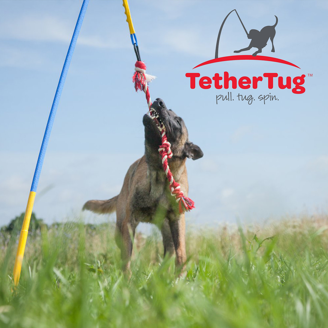 Tether Tug V2 Outdoor Dog Interactive Toy Tugging Pull Exercise 5-70 lbs and Up