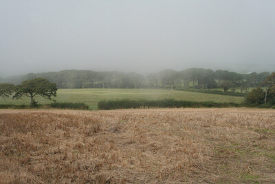 Photo 6x4 Fremington: near Holmacott A fog bank rolling in from the coast c2007