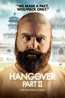 Hangover 2 Comedy Adventure Cinema Film Movie Actor Gift Wall - POSTER 20''x30''