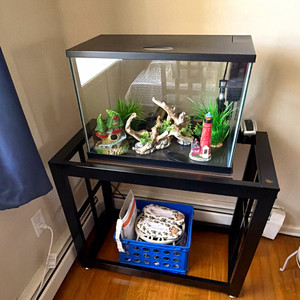 30 Gal Glass Rectangular Aquarium Fish Tank w/ Metal Stand, Hood, Filter, Decor
