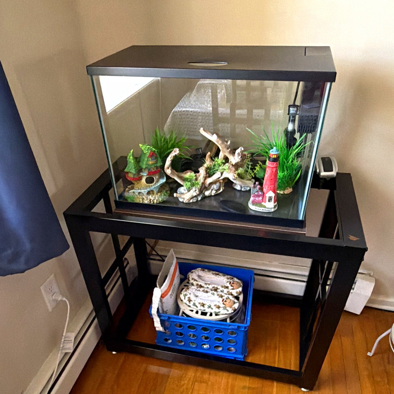 30 Gal Glass Rectangular Aquarium Fish Tank w/ Metal Stand, Hood, Filter, Decor