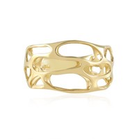 Schicker Durchbrochener Ring Aus Vergoldetem Silber