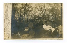 Alma Center WI, niño, cordero, gato, pila de troncos, postal de 1907 RPPC, Hannah Nordell
