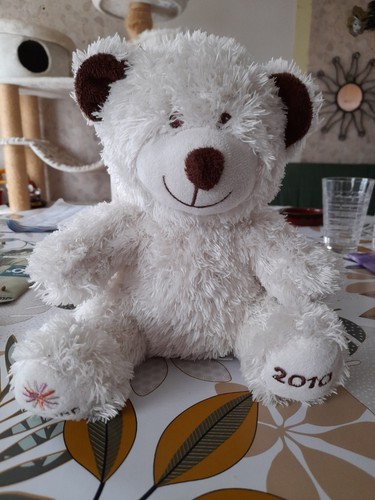 Peluche Ours Blanc Marron Yeux