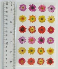 Mrs Grossman FLOWERS BY THE DOZEN - 1 Sheet of 2 Dozen Flower Stickers