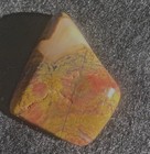 Bild 11 von 13