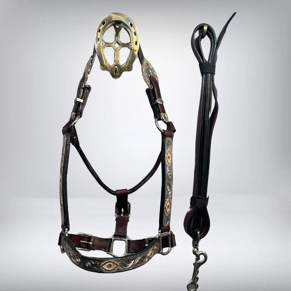 Halter y plomo Kathy's Tack marrón oscuro Show Foto 2 de 4