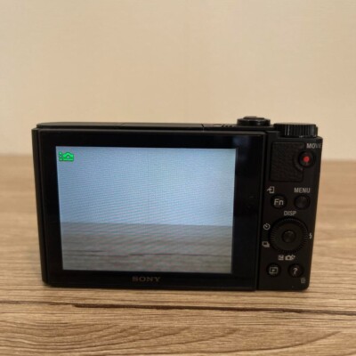 Sony cyber-shot DSC-WX500 black Compact Digital Camera FROM JAPAN