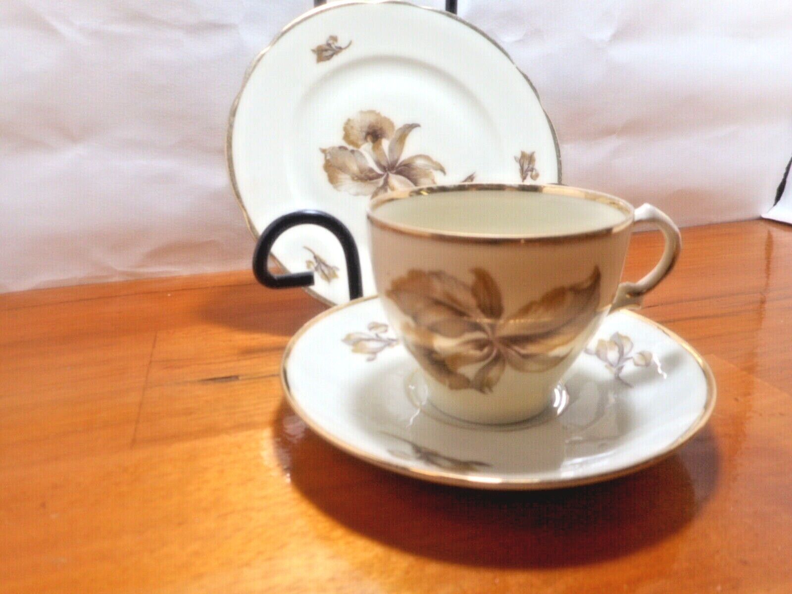 Kjøbenhavns Porcellains Maleri KPM Orchid Tea Cup Trio 1924 Antique