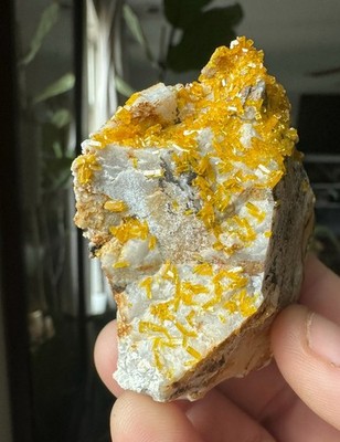 Absolute GEM Mimetite Crystals, Hat Yai District, Thailand