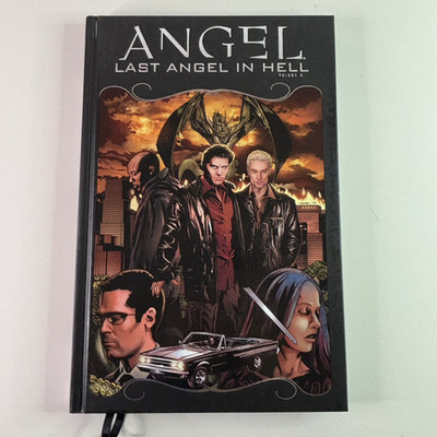 Angel: Last Angel In Hell Vol. 6 Hardcover. IDW Comics 2010, Lynch, Laddau. VF