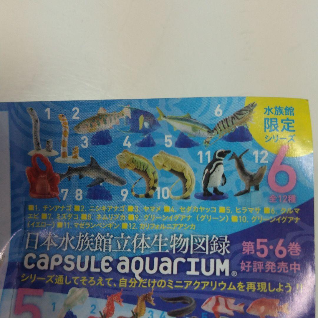 Japan Aquarium 3D Biological Catalog Volume 6 12 Types Full Japan Aquarium 3D Biological Catalog Volume 6 12 Types Full