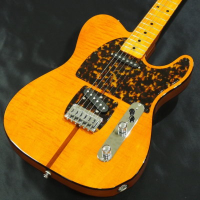 H.S.Anderson HS-1 MAD CAT Golden Brown w/semi hard case electric