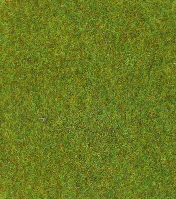 Tapis de sol camping 250 x 300 cm Tapis de sol camping 250 x 300 cm