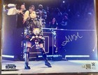 Alexa Bliss WWE 2025 Royal Rumble Autographed 16x20 Photo — photo 1