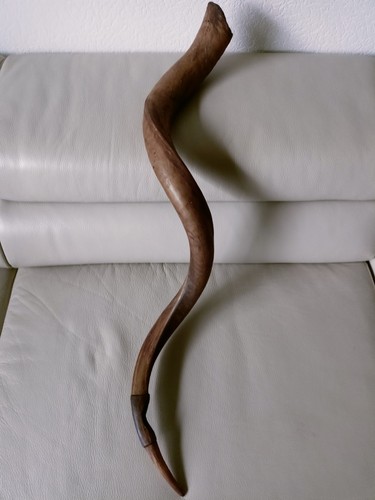 Kuduhorn Hornlänge gedreht ca. 85 cm
