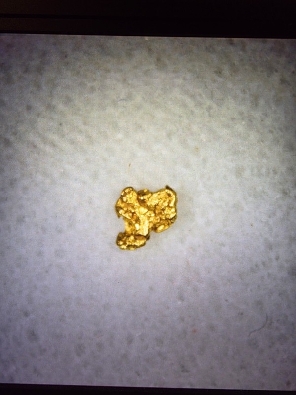 Pure Gold Nugget California Natural Small Gold Nugget .079 of a Gram, Beautiful!