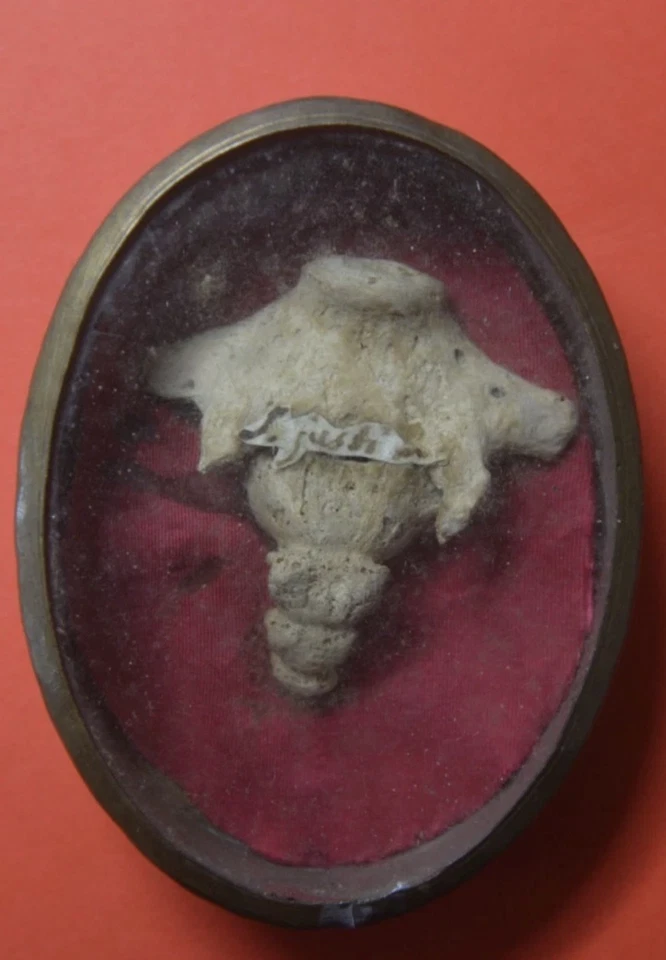 Reliquia Relic Reliquary San Justo Mártir - Imagen 1 de 4