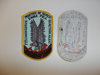 e2945 Vietnam US Air Force 21st Special Operations Squadron Eagle Pull IR22C