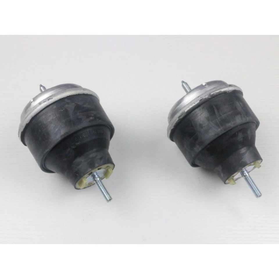 Juego de montaje de motor de 2 piezas apto para Audi A4 A6 S4 Volkswagen Passat V6 Foto 2 de 4
