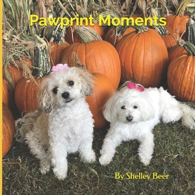 Beer - Pawprint Moments - New paperback or softback - X555z