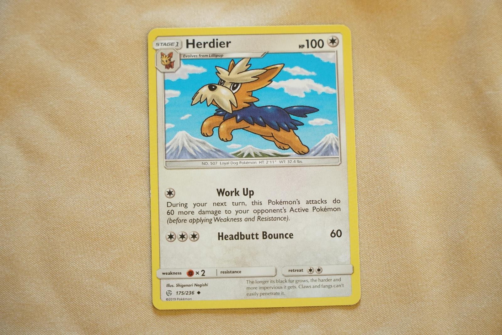 Herdier 175/236 Uncommon Cosmic Eclipse Pokemon Lightly Played