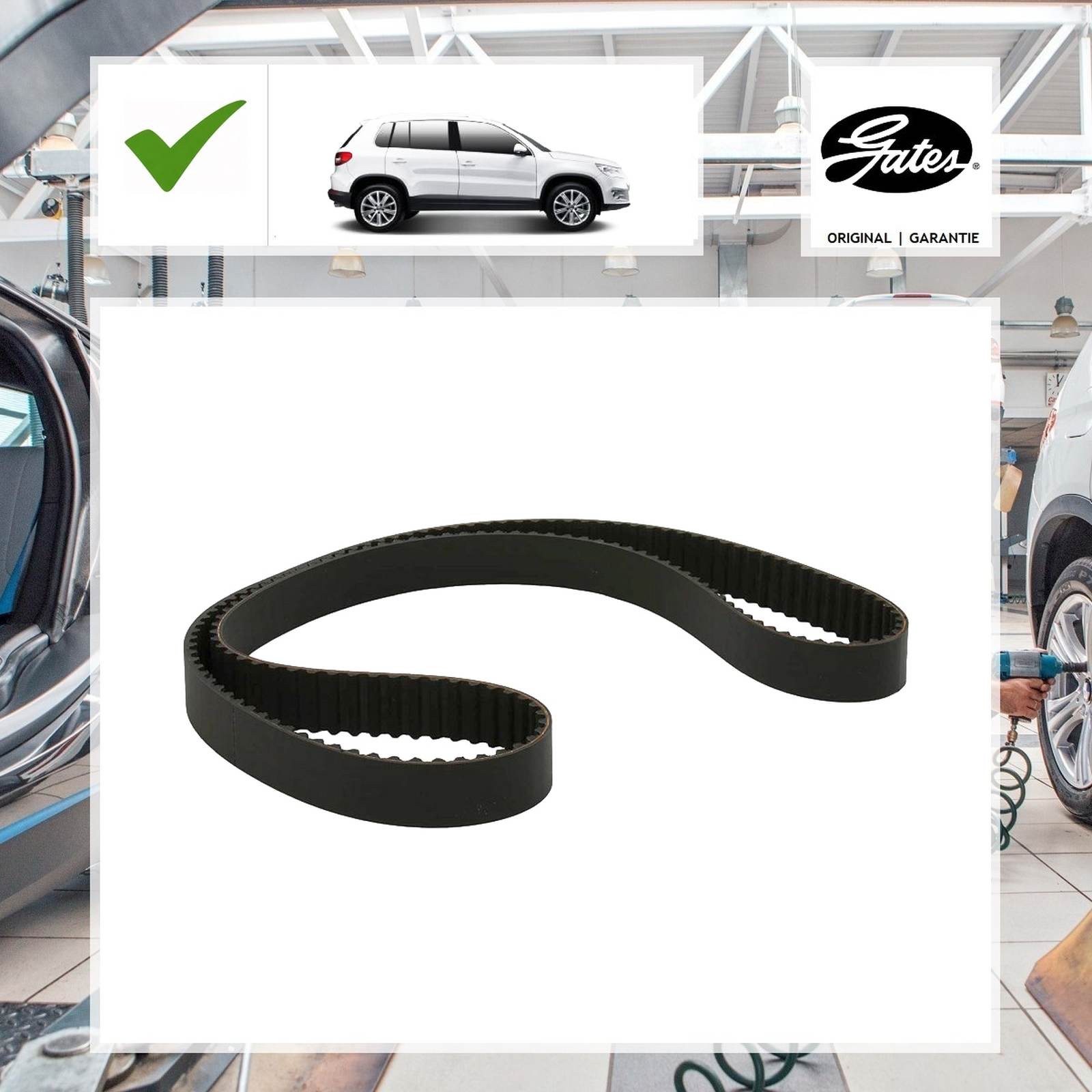 Gates Zahnriemen VW TIGUAN (5N_) 2.0 TDI 4motion
