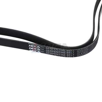 Serpentine Belt 6PK2600 Fits Chevrolet GMC Ford Buick Oldsmobile - Foto 8