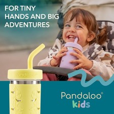 Pandaloo  Smoothie Cups for Kids - Stainless Steel Toddler Tumbler with Straw, S