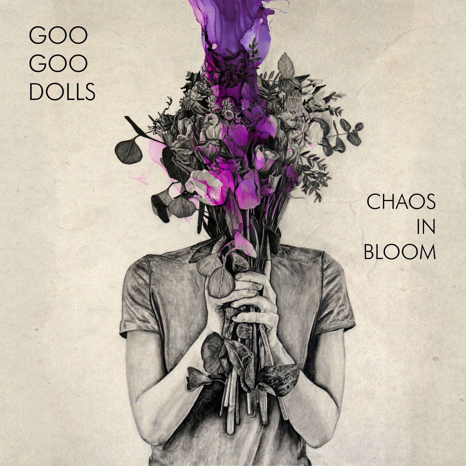 Goo Goo Dolls Chaos in Bloom (CD) Album