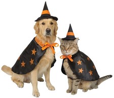 Fun World Witchy Pet Witch Hat and Cape Halloween Costume Dog Cat - Large/XL
