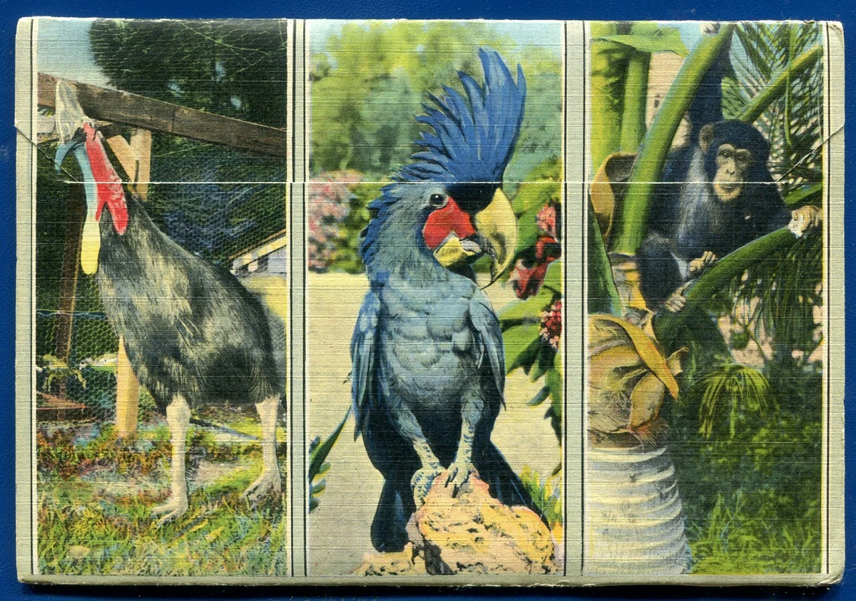 Miami & Miami Beach FLORIDA Vintage Linen Postcard Folder