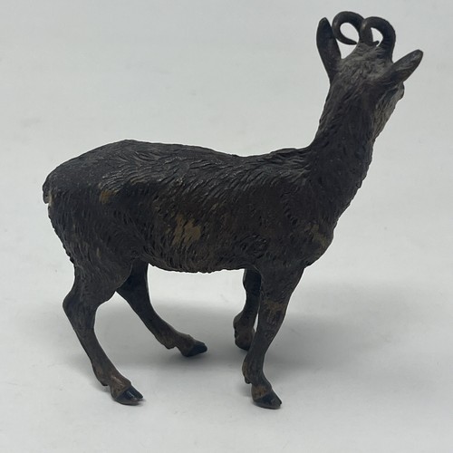 Antique Cold-Painted Bronze Figure of a Antelope Stag Chamois - Picture 6 of 13