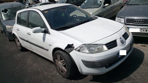 Elevalunas Trasero Derecho para RENAULT MEGANE II BERLINA 5P 2004 781184 - Imagen 4 de 9