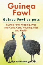 Guinea Fowl. Guinea Fowl as pets. Guinea Fowl Keeping, Pros and Cons, Care,