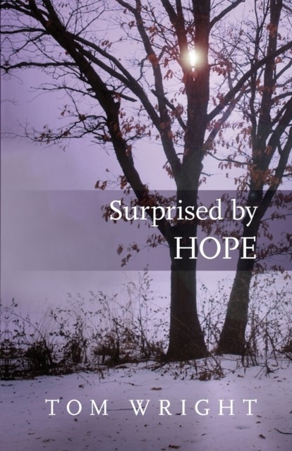 Surprised by Hope by Tom Wright (Paperback Book)