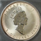 Foto 6 di 6