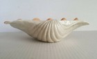 Mid Century Modern SHELL BOWL Large 12" BEAUTIFUL Glossy Finish SCALLOPED — photo 3