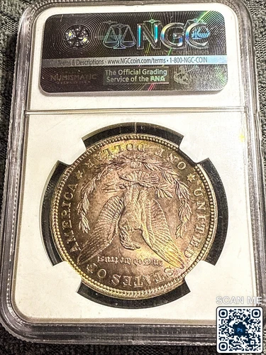1921 Morgan Silver Dollar NGC MS 63  Peripheral Toning See Pictures!