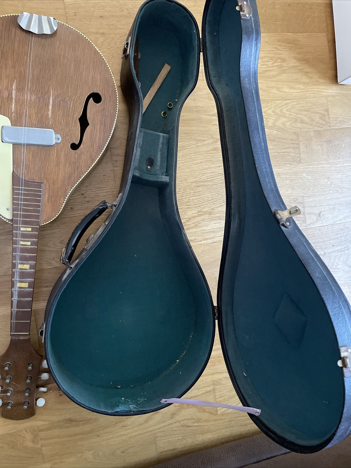 mandolins in musical instruments eBay
