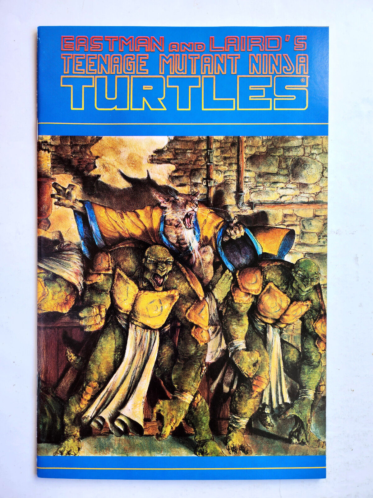 Teenage Mutant Ninja Turtles #35 (1991 Mirage) VF