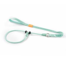 Dog Slip Lead Leash Training No Pull Durable Nylon Padded Mint Green 3.6 FT