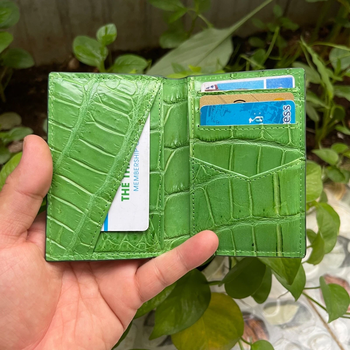 Crocodile card case wallet with Double G