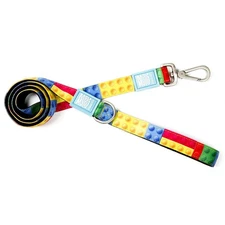 Max & Molly Dog Leash (Playtime 2.0) - Large
