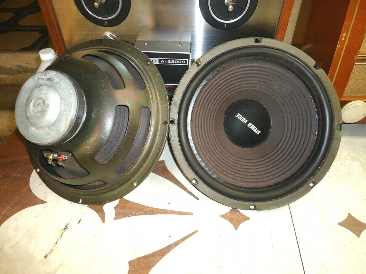 Stereo voice store speakers